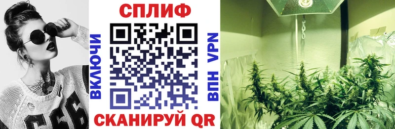 Купить где  Ладушкин  Бошки марихуана VHQ 